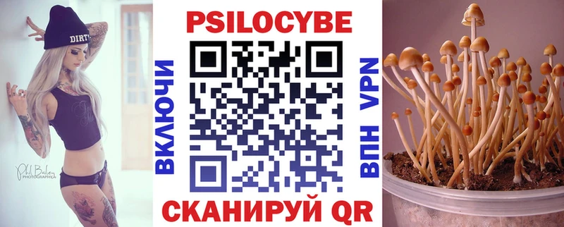 Галлюциногенные грибы Psilocybine cubensis  hydra как зайти  Тамбов  купить наркотики цена 