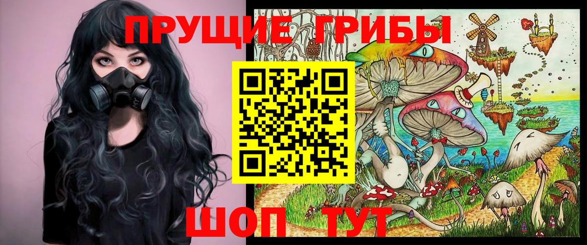 Галлюциногенные грибы Psilocybe  Вход с VPN  Тамбов  Псилоцибиновые грибы Psilocybine cubensis 